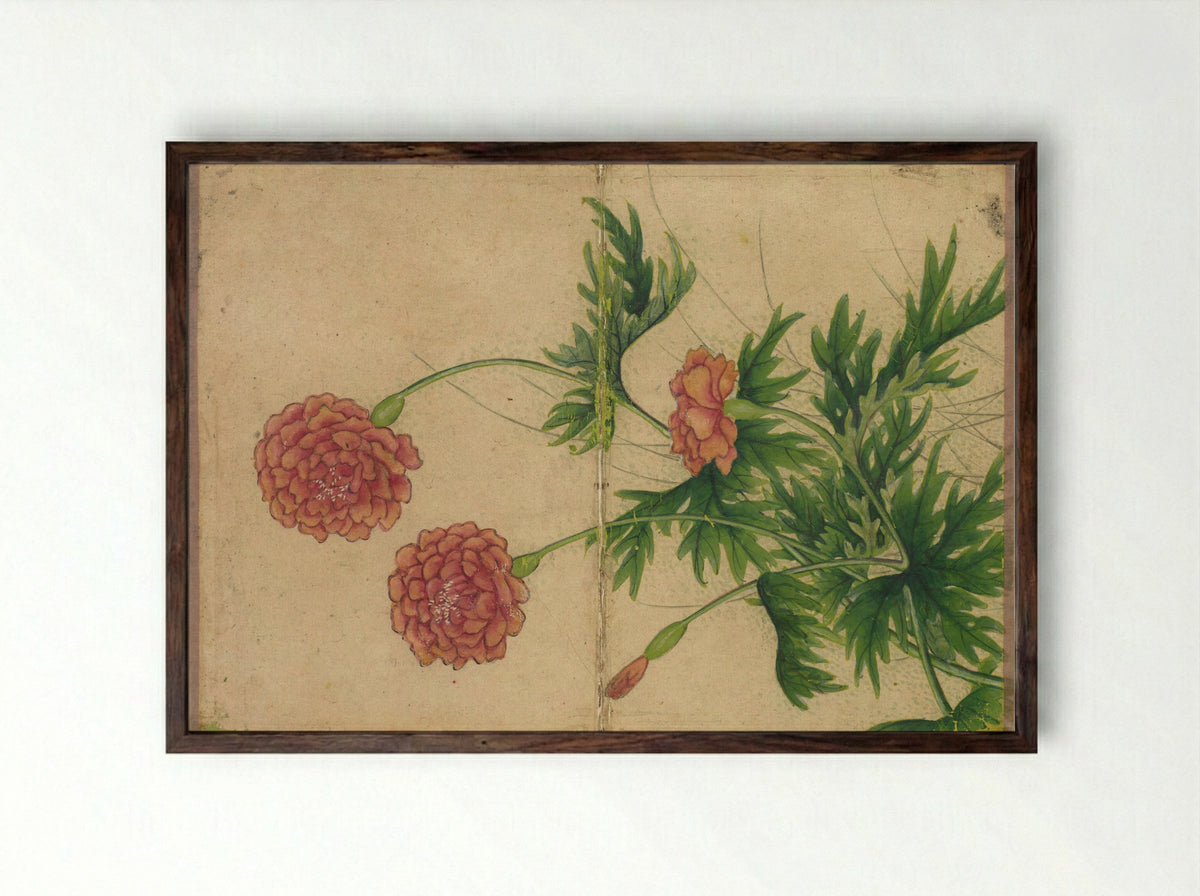 Desk Album: Flower and Bird Paintings (Peony) - Zhang Ruoai - Framed Print Dark Wood