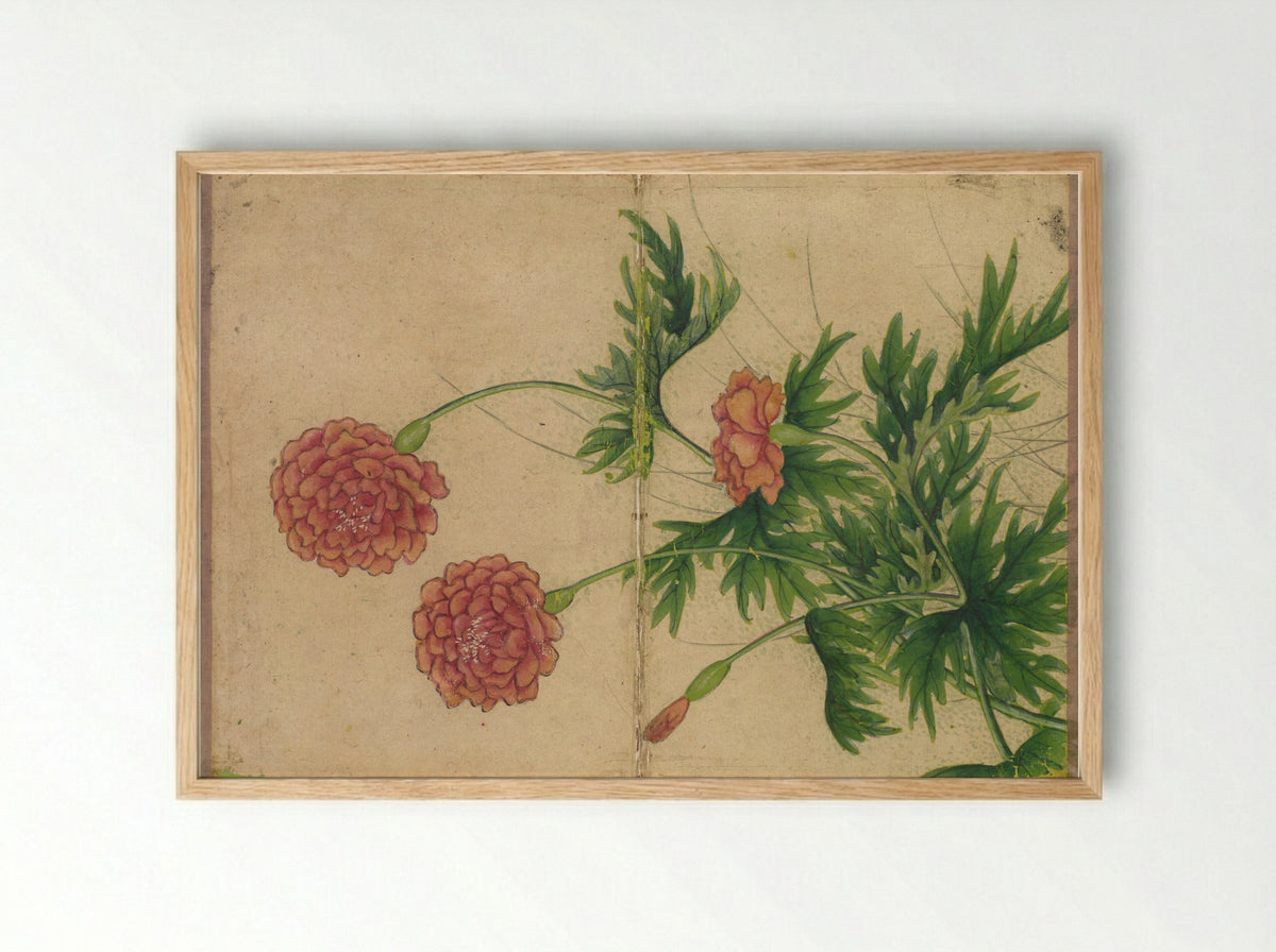 Desk Album: Flower and Bird Paintings (Peony) - Zhang Ruoai - Framed Print Wood