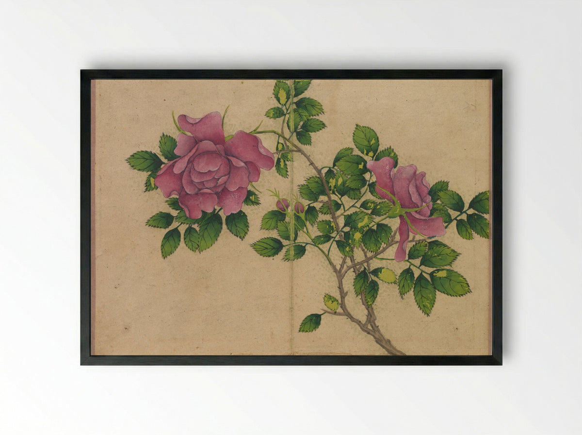 Desk Album: Flower and Bird Paintings (Rose) - Zhang Ruoai - Framed Print Black