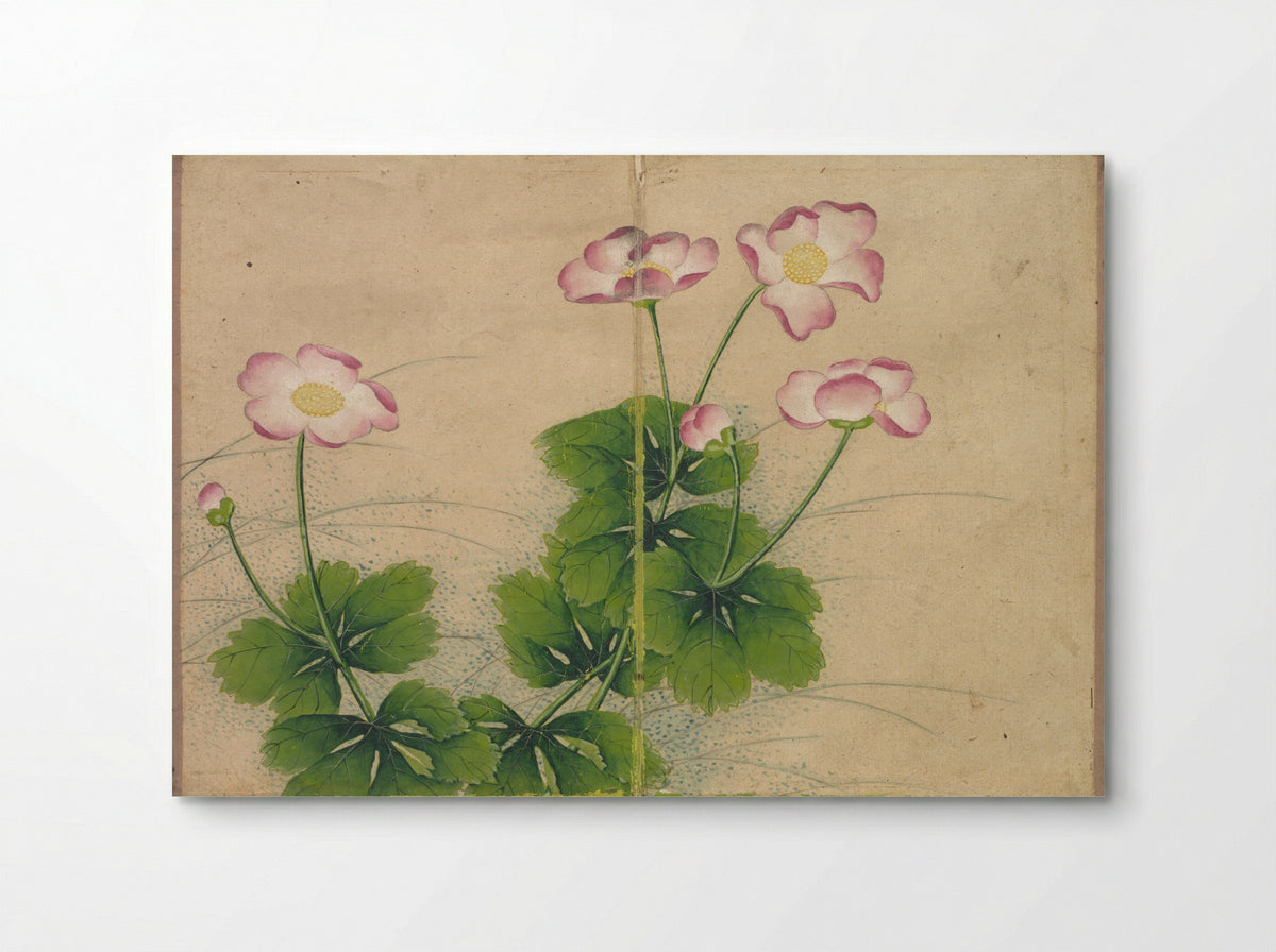 Desk Album: Flower and Bird Paintings (mallow flowers) - Zhang Ruoai - Poster