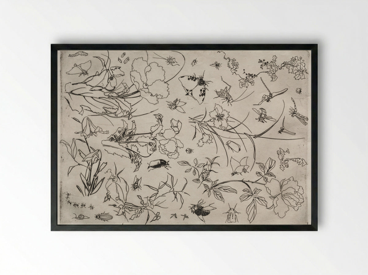 Dinner Service (Rousseau service): Flowers and Insects (no. 15) - Félix Bracquemond - Framed Print Black