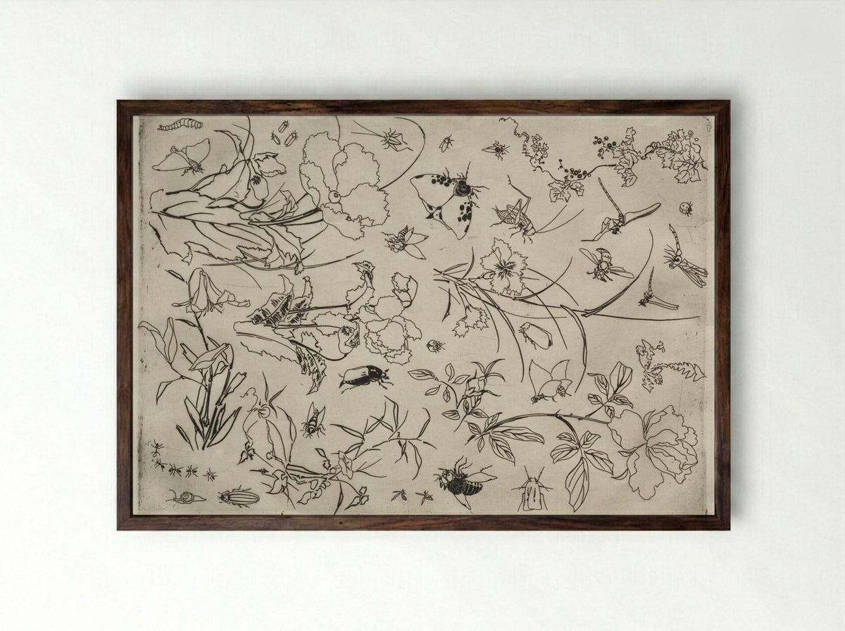 Dinner Service (Rousseau service): Flowers and Insects (no. 15) - Félix Bracquemond - Framed Print Dark Wood