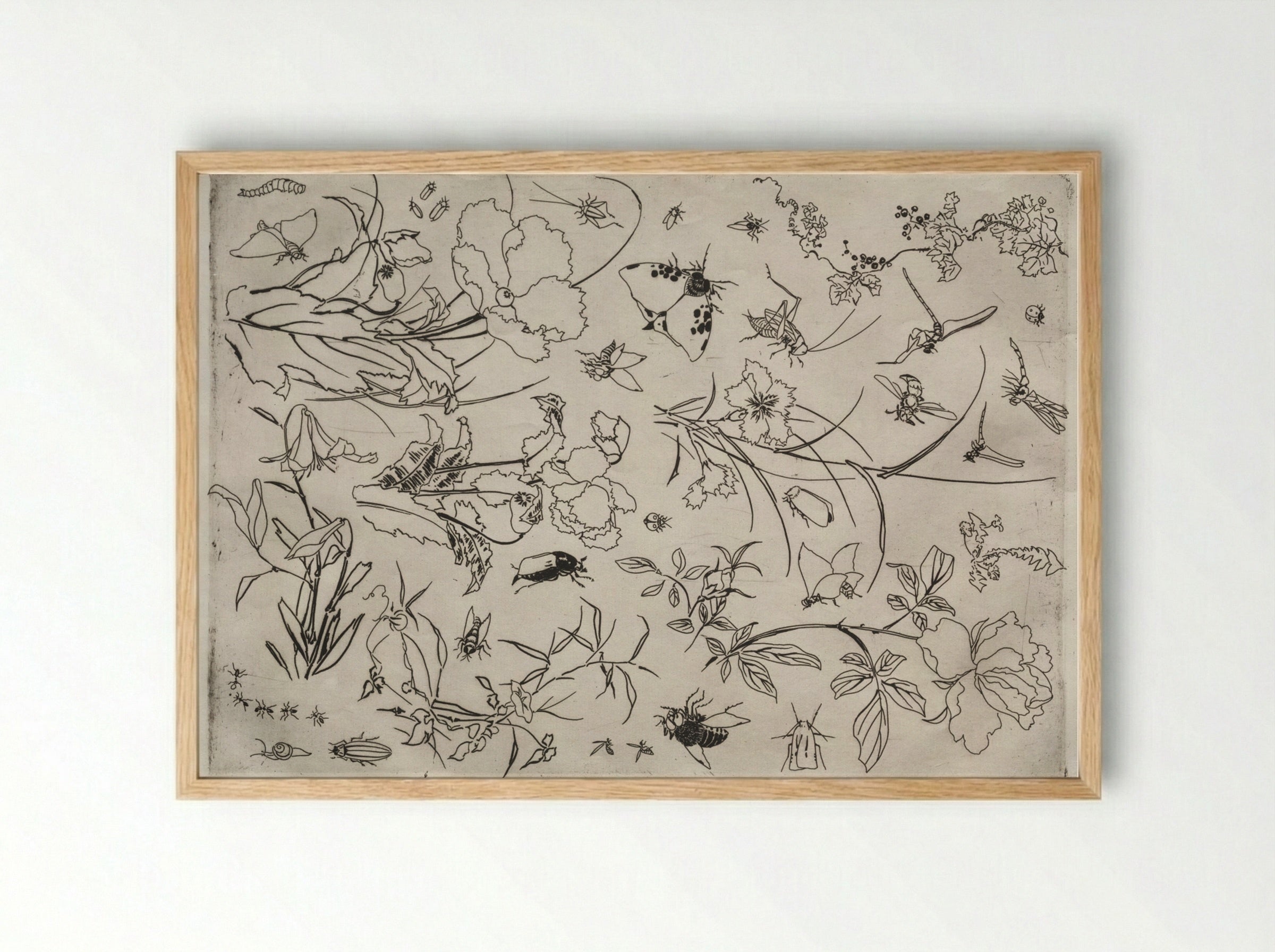 Dinner Service (Rousseau service): Flowers and Insects (no. 15) - Félix Bracquemond - Framed Print Wood