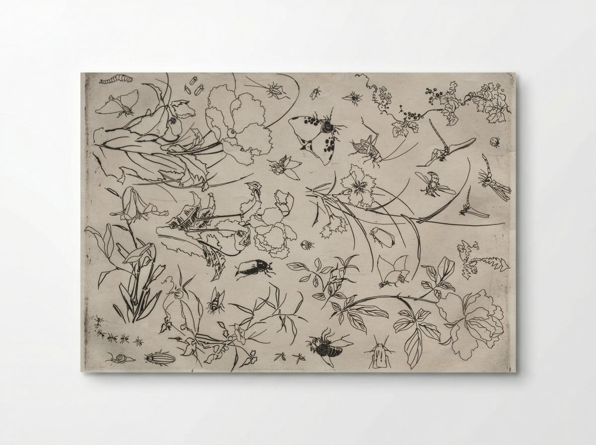 Dinner Service (Rousseau service): Flowers and Insects (no. 15) - Félix Bracquemond - Poster