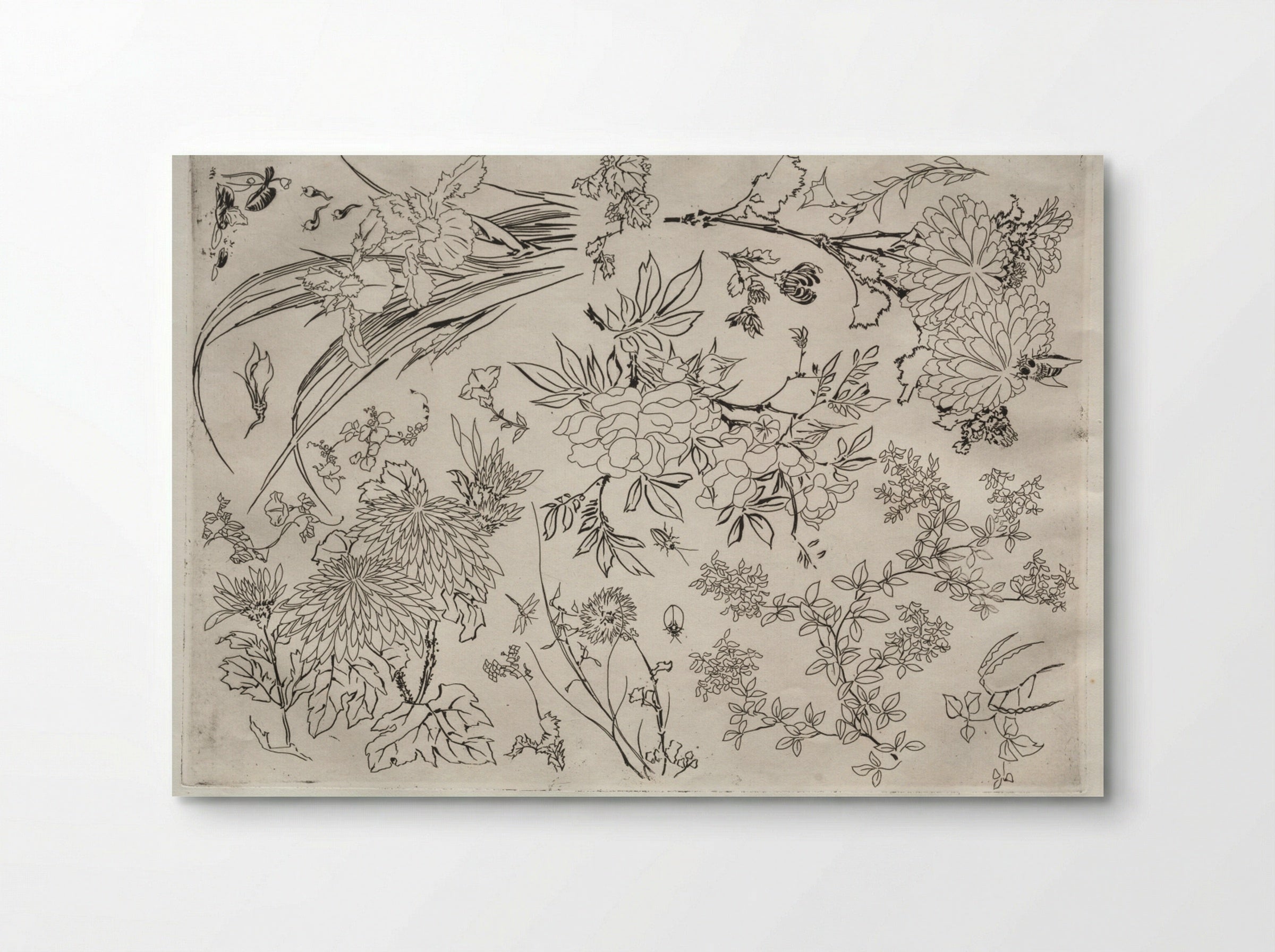 Dinner Service (Rousseau service): Flowers (no. 23) - Félix Bracquemond - Poster