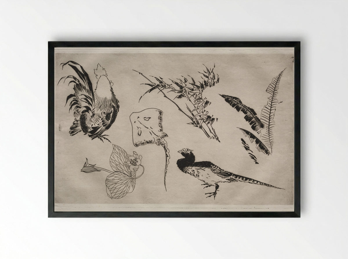 Dinner Service (Rousseau service): Roosters, skate, plants, etc. (no. 9) - Félix Bracquemond - Framed Print Black