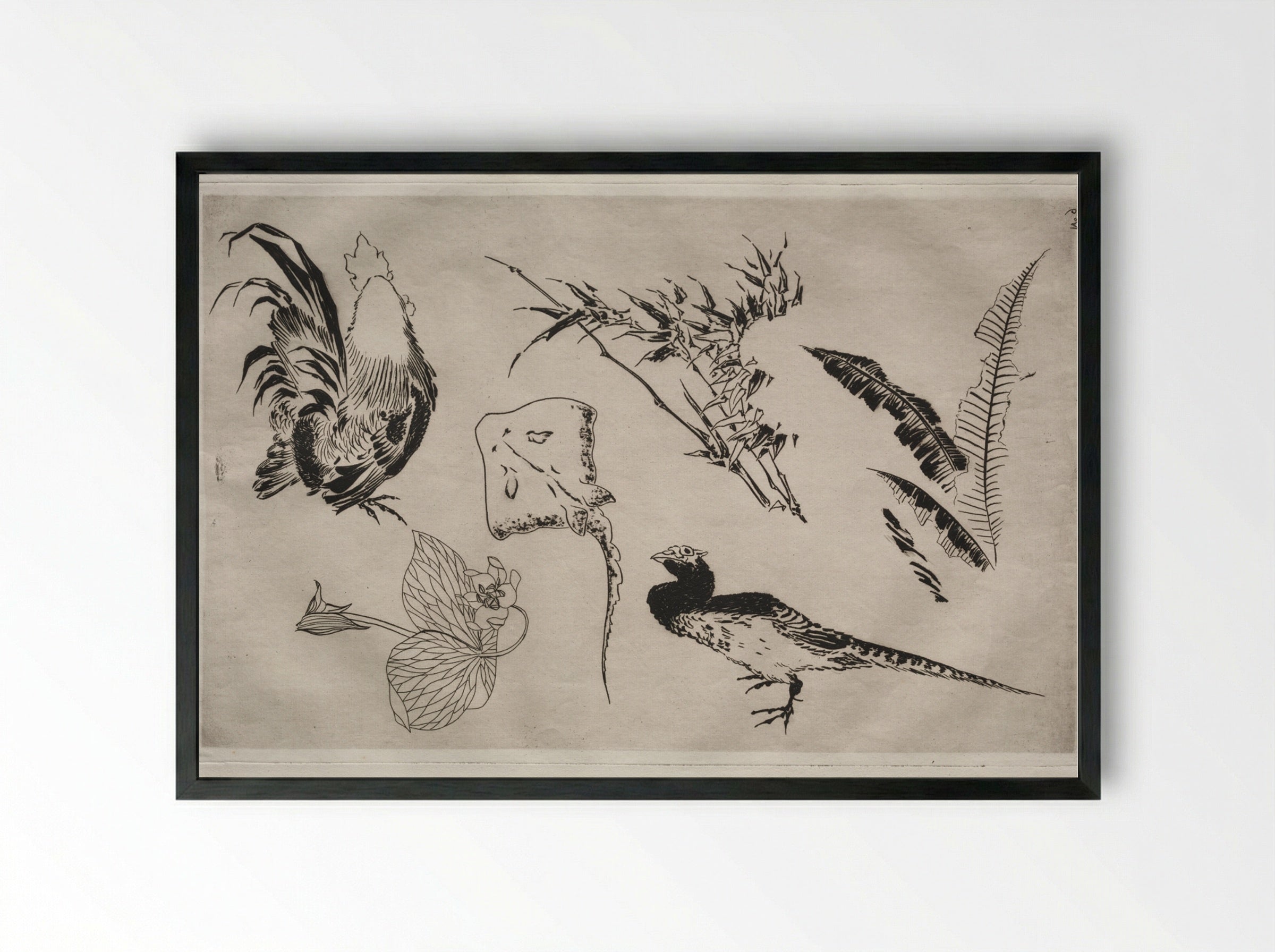 Dinner Service (Rousseau service): Roosters, skate, plants, etc. (no. 9) - Félix Bracquemond - Framed Print Black