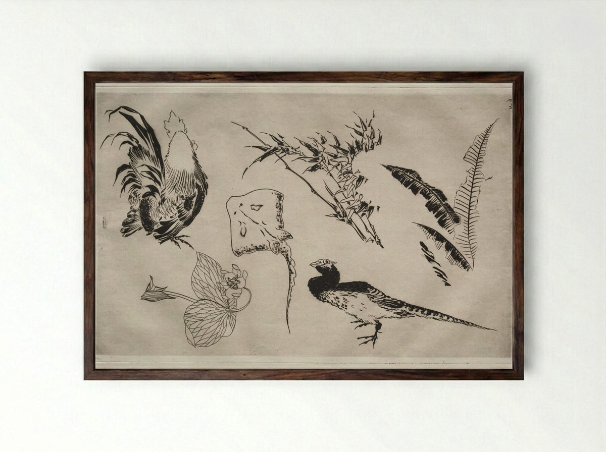 Dinner Service (Rousseau service): Roosters, skate, plants, etc. (no. 9) - Félix Bracquemond - Framed Print Dark Wood