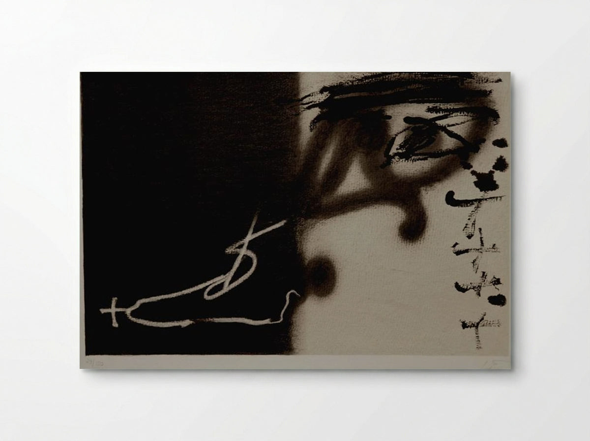 Divisé - Antoni Tàpies - Poster