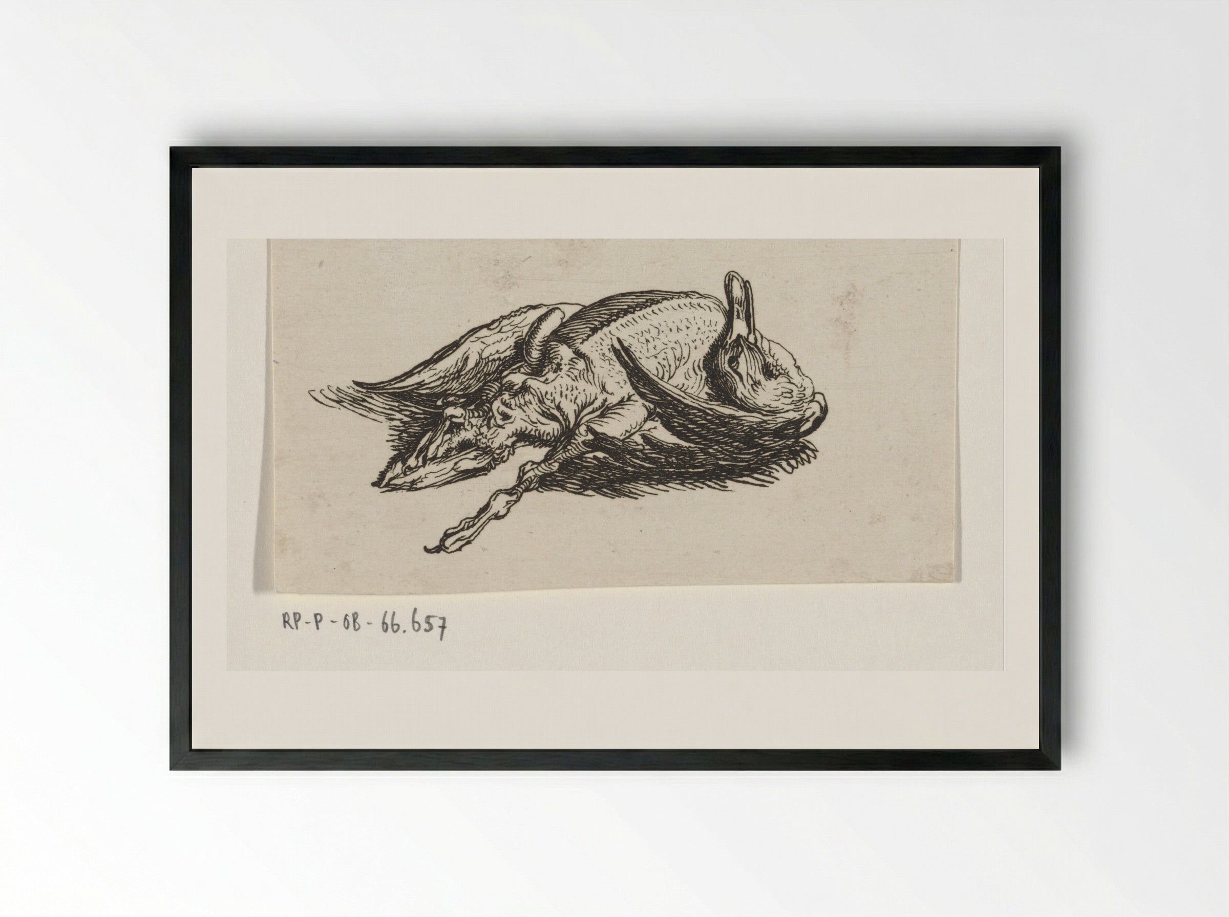 Dode eend - Jacob Elias van Varelen - Framed Print Black