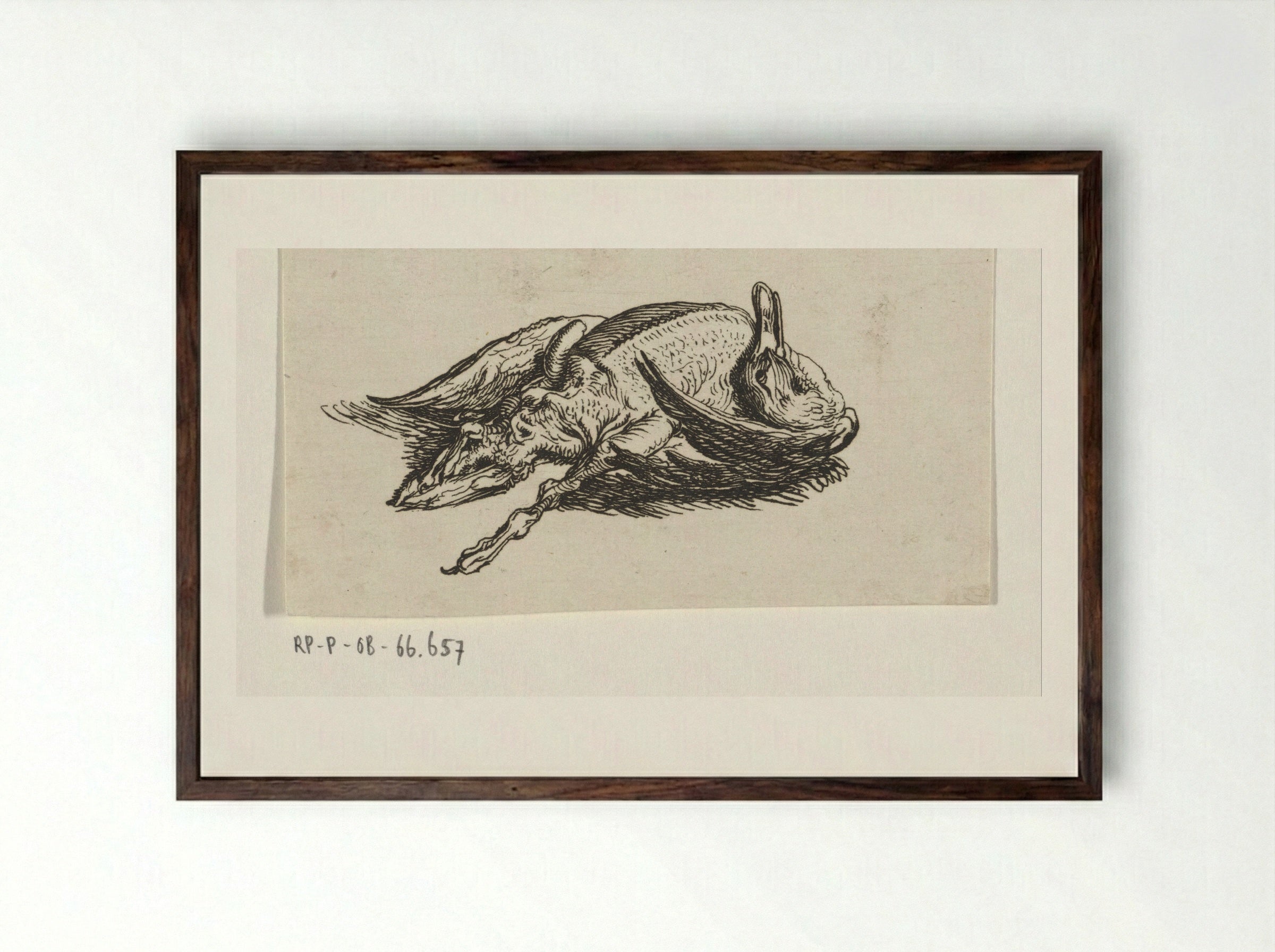 Dode eend - Jacob Elias van Varelen - Framed Print Dark Wood