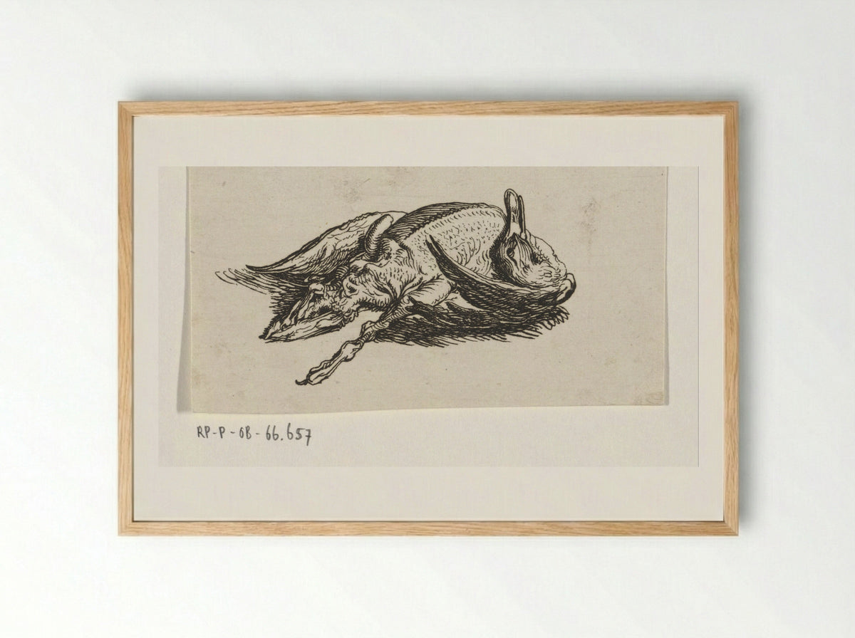 Dode eend - Jacob Elias van Varelen - Framed Print Wood