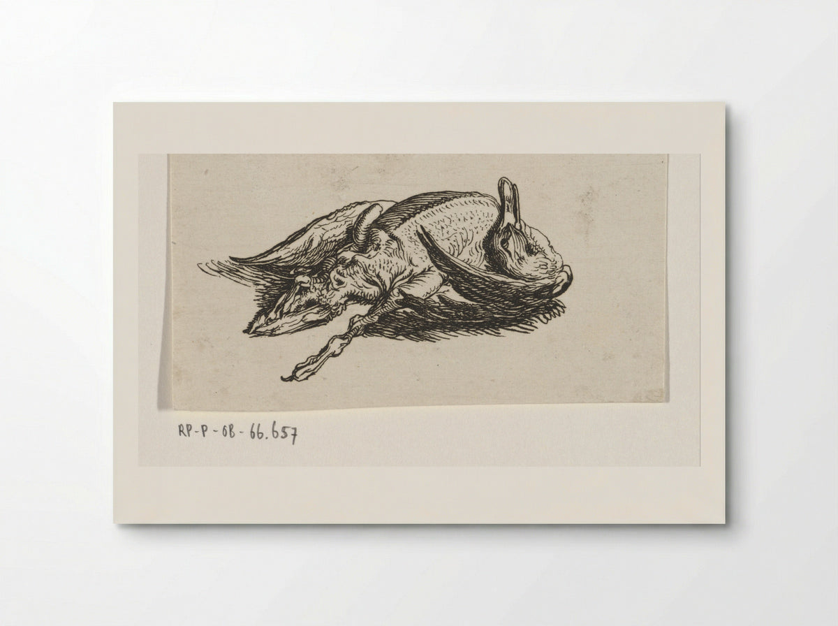 Dode eend - Jacob Elias van Varelen - Poster