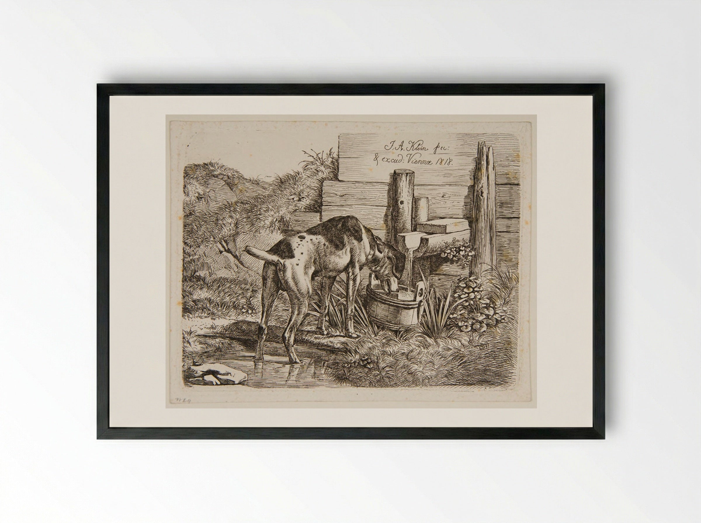 Dog Drinking - Johann Adam Klein - Framed Print Black