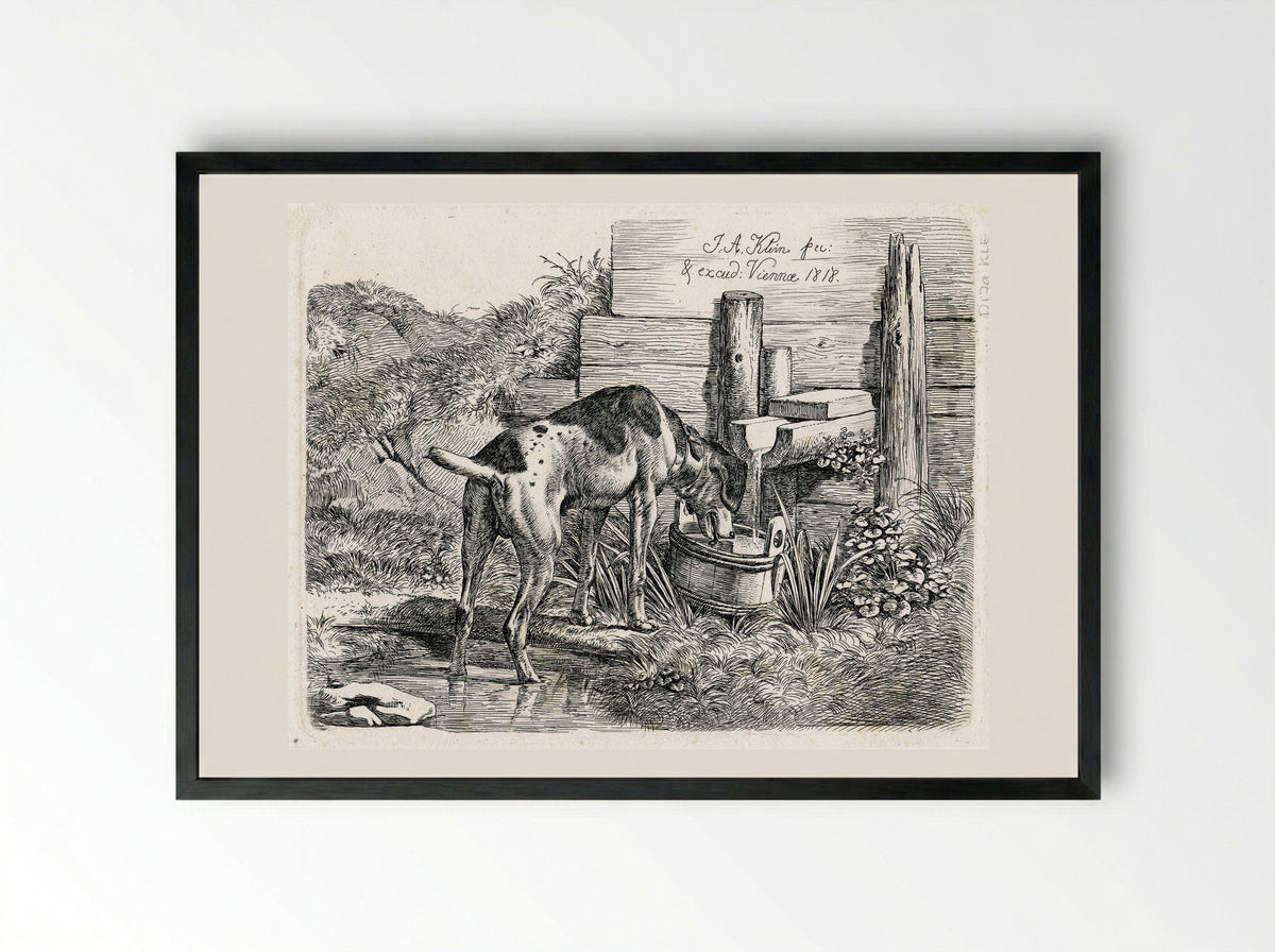 Dog Drinking - Johann Adam Klein - Framed Print Black
