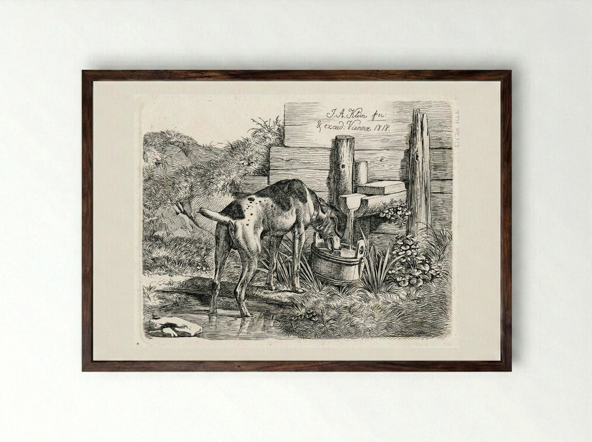 Dog Drinking - Johann Adam Klein - Framed Print Dark Wood