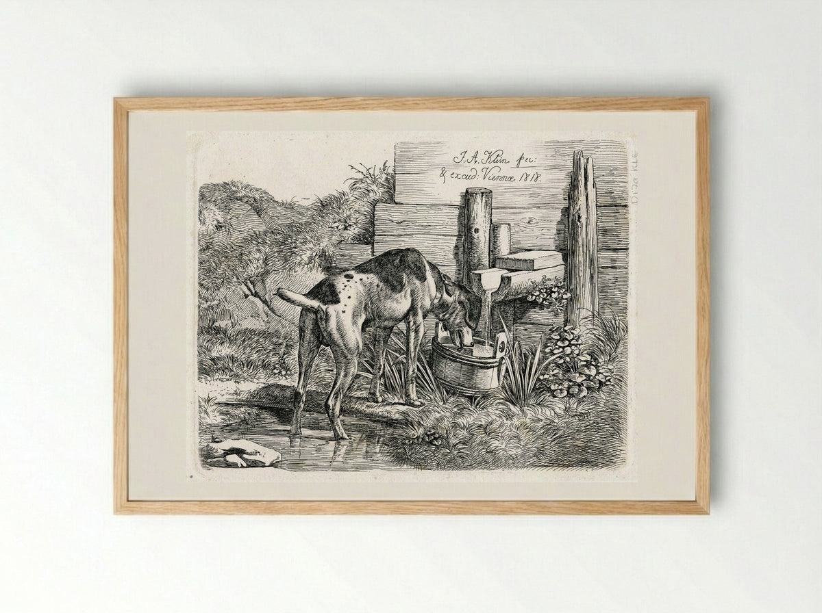 Dog Drinking - Johann Adam Klein - Framed Print Wood
