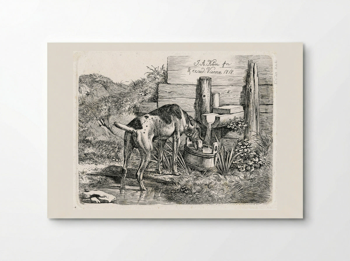 Dog Drinking - Johann Adam Klein - Poster