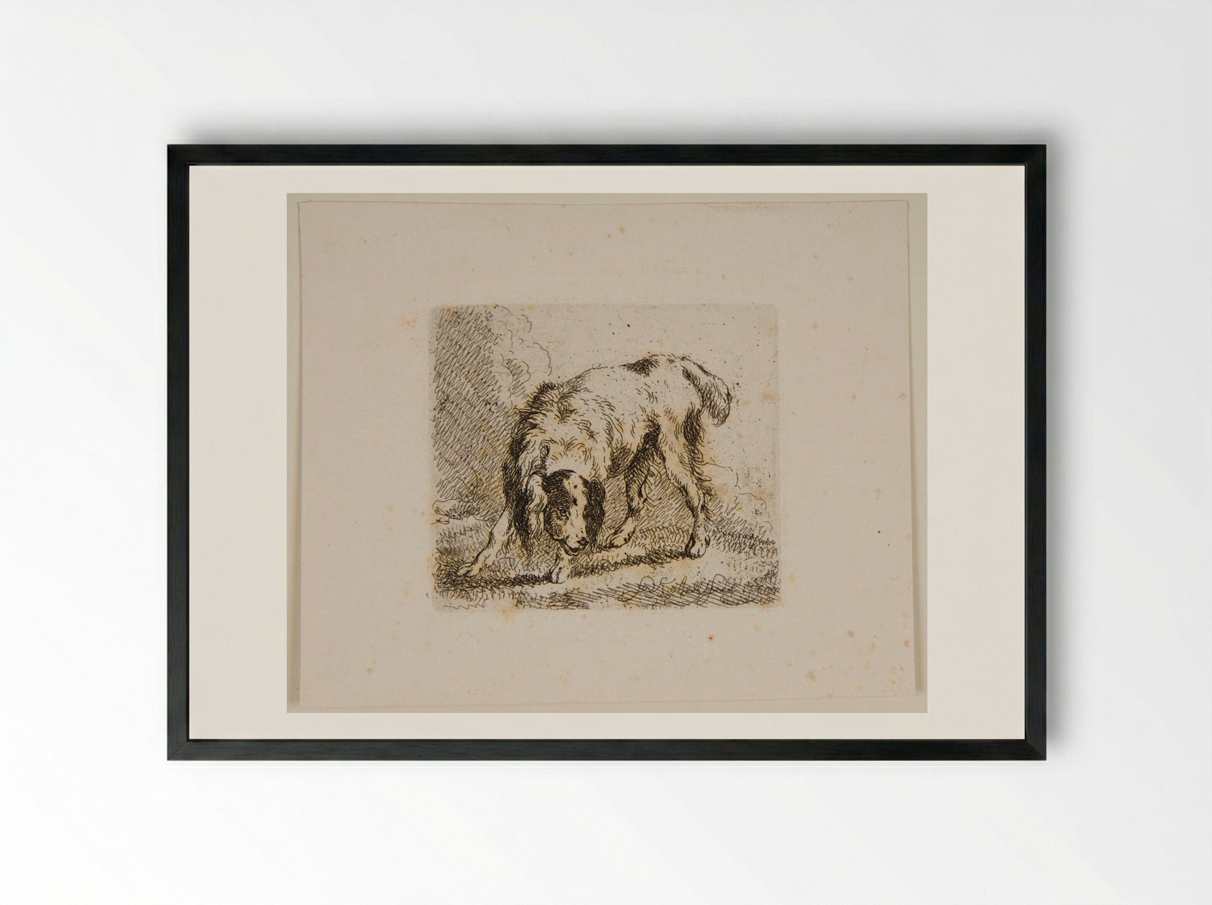 Dog (Etching) - Ferdinand Kobell - Framed Print Black