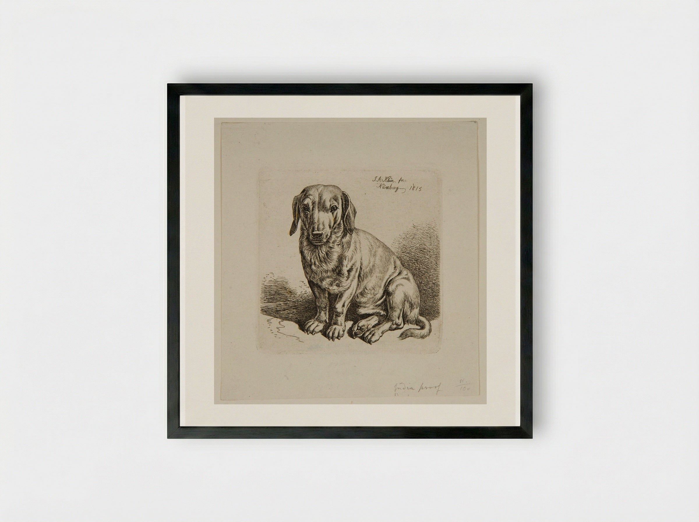 Dog (Etching) - Johann Adam Klein - Framed Print Black