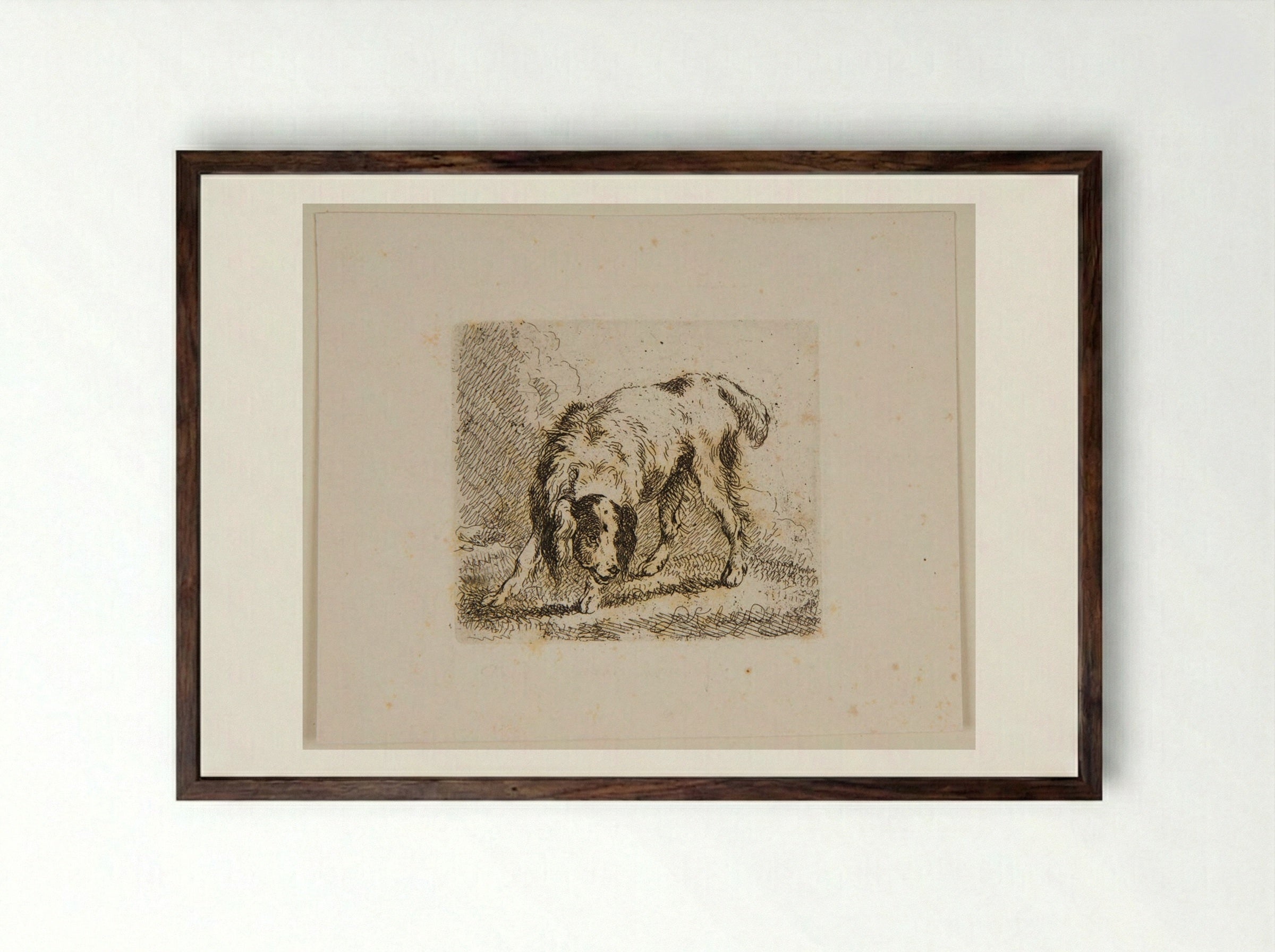 Dog (Etching) - Ferdinand Kobell - Framed Print Dark Wood