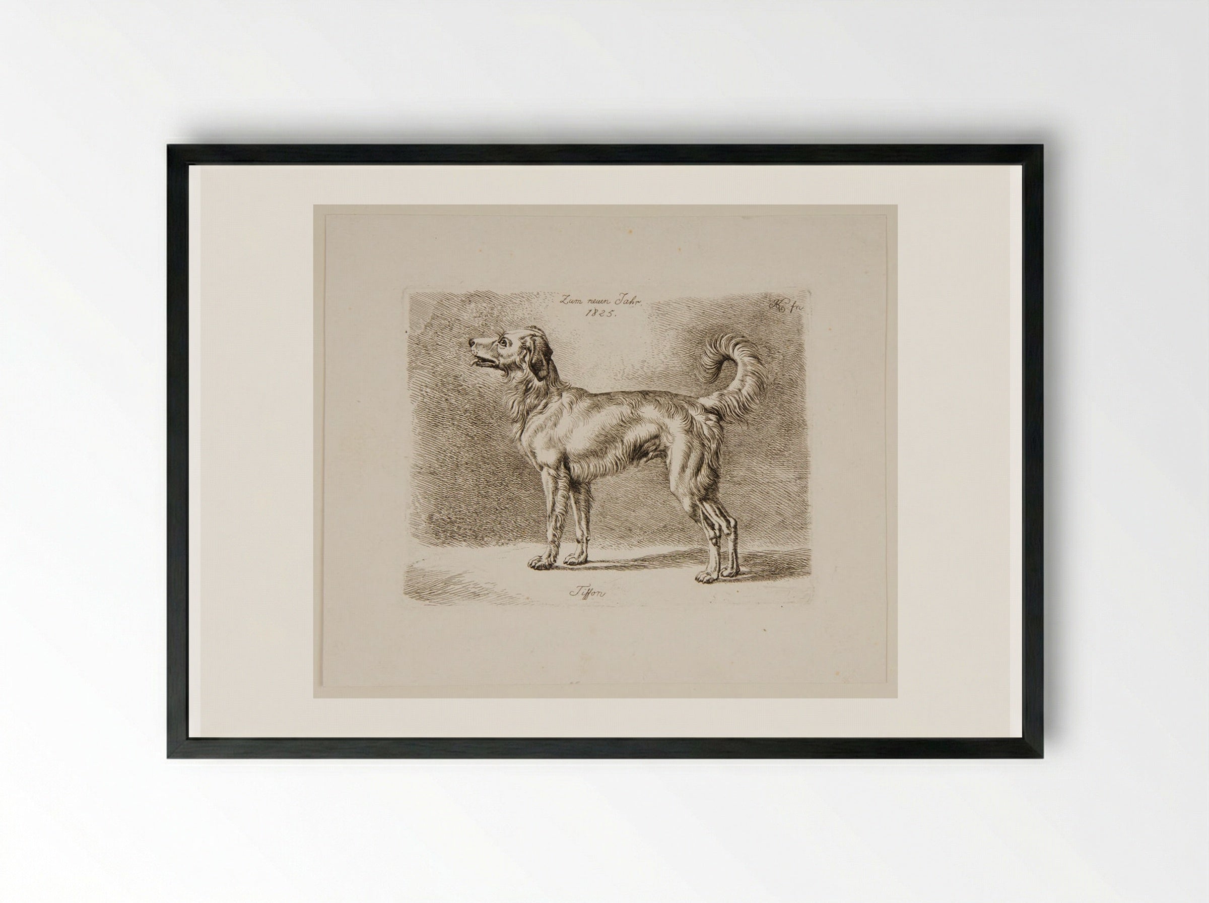 Dog, Tiffon - Johann Adam Klein - Framed Print Black