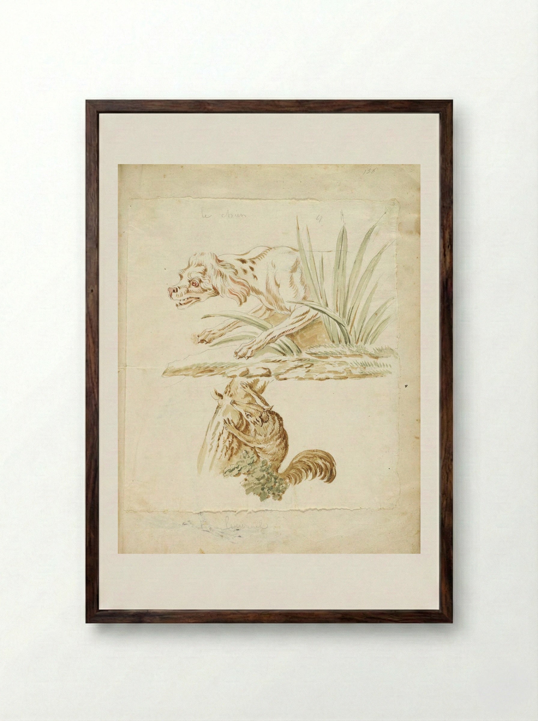 Dog and Squirrel - Jean-Baptiste Oudry - Framed Print Dark Wood