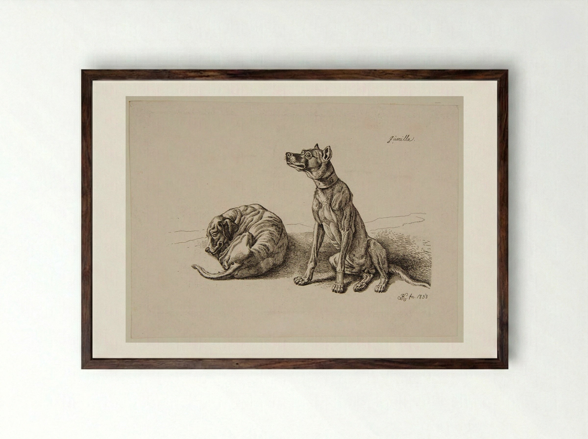 Dogs - Johann Adam Klein - Framed Print Dark Wood