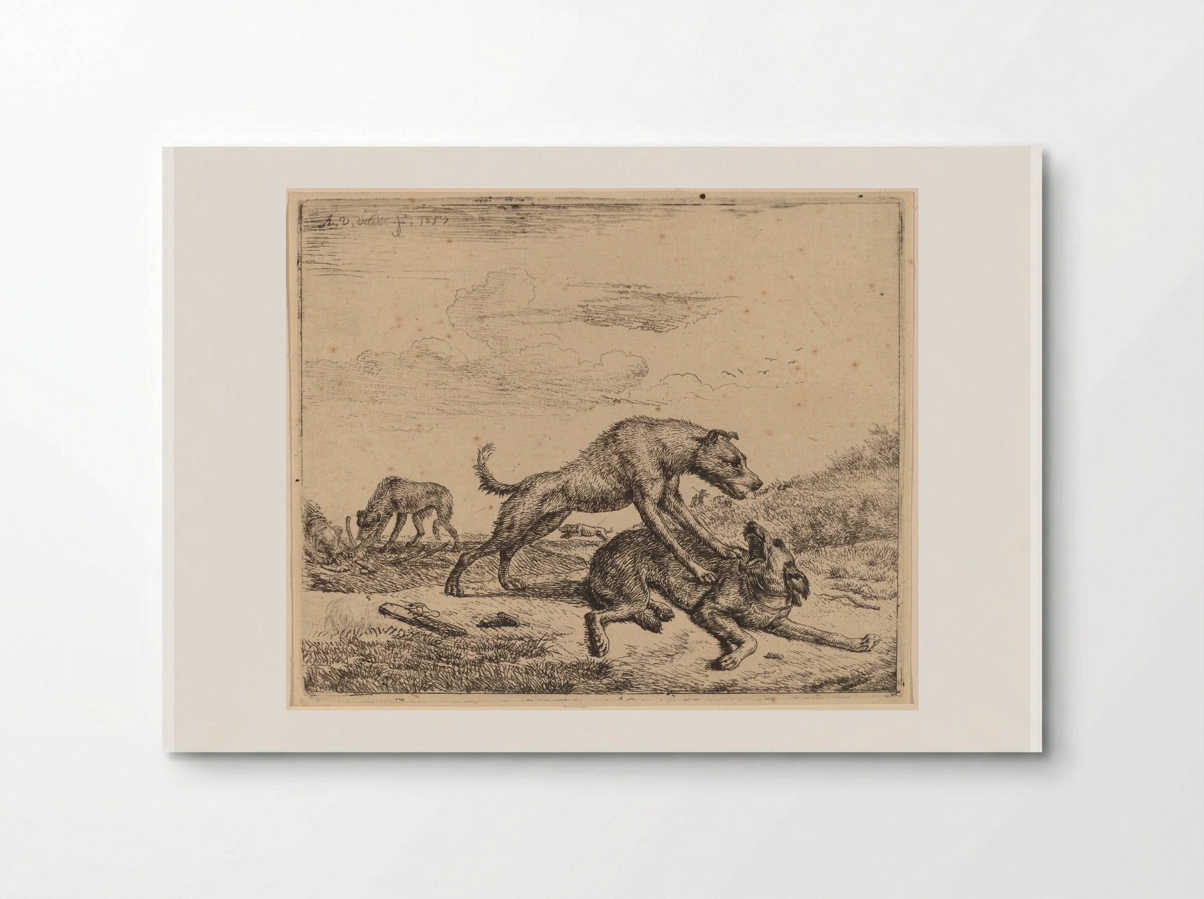 Dogs - Adriaen van de Velde - Poster