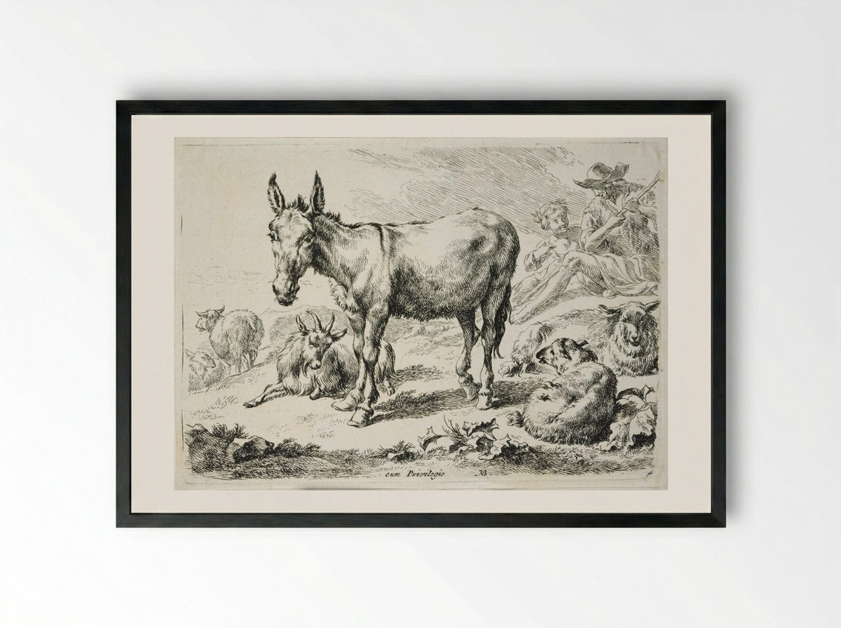 Donkey, Sheep, and Goats - Nicolaes Berchem - Framed Print Black