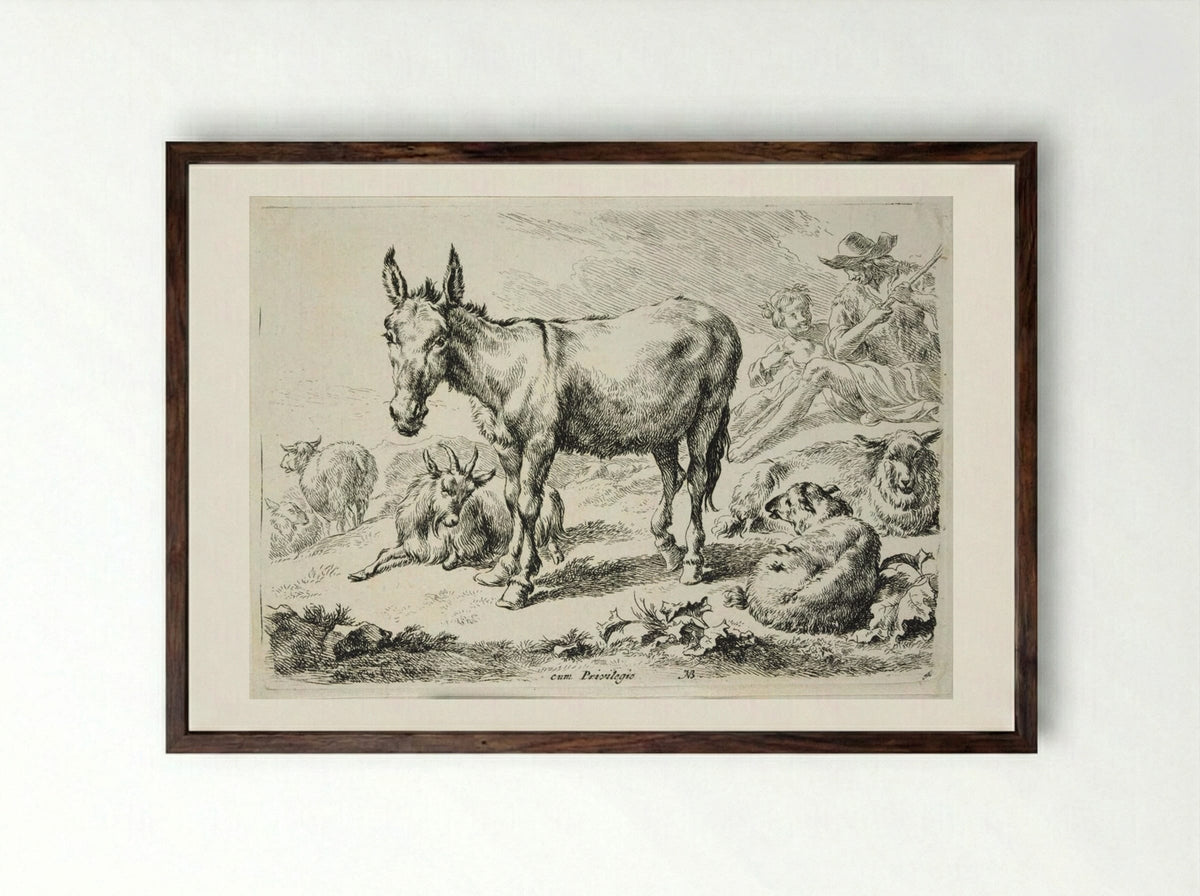 Donkey, Sheep, and Goats - Nicolaes Berchem - Framed Print Dark Wood
