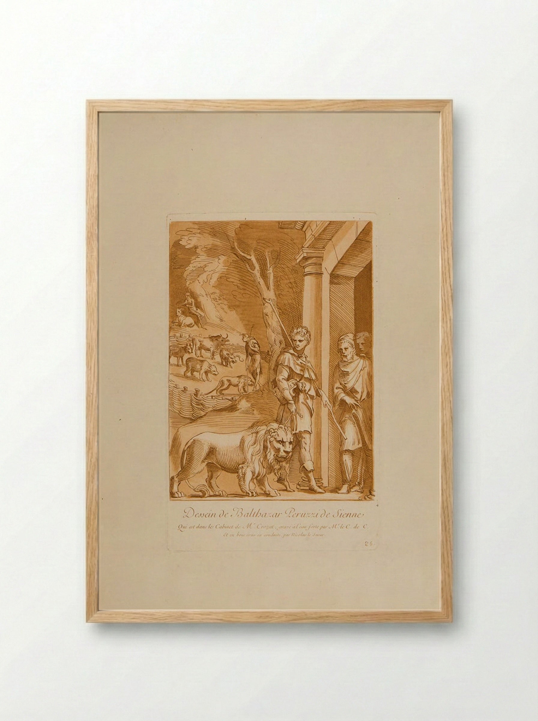 Drawing by Balthazar Peruzzi of Sienna - Anne Claude Philippe de Thubières, comte de Caylus - Framed Print Wood
