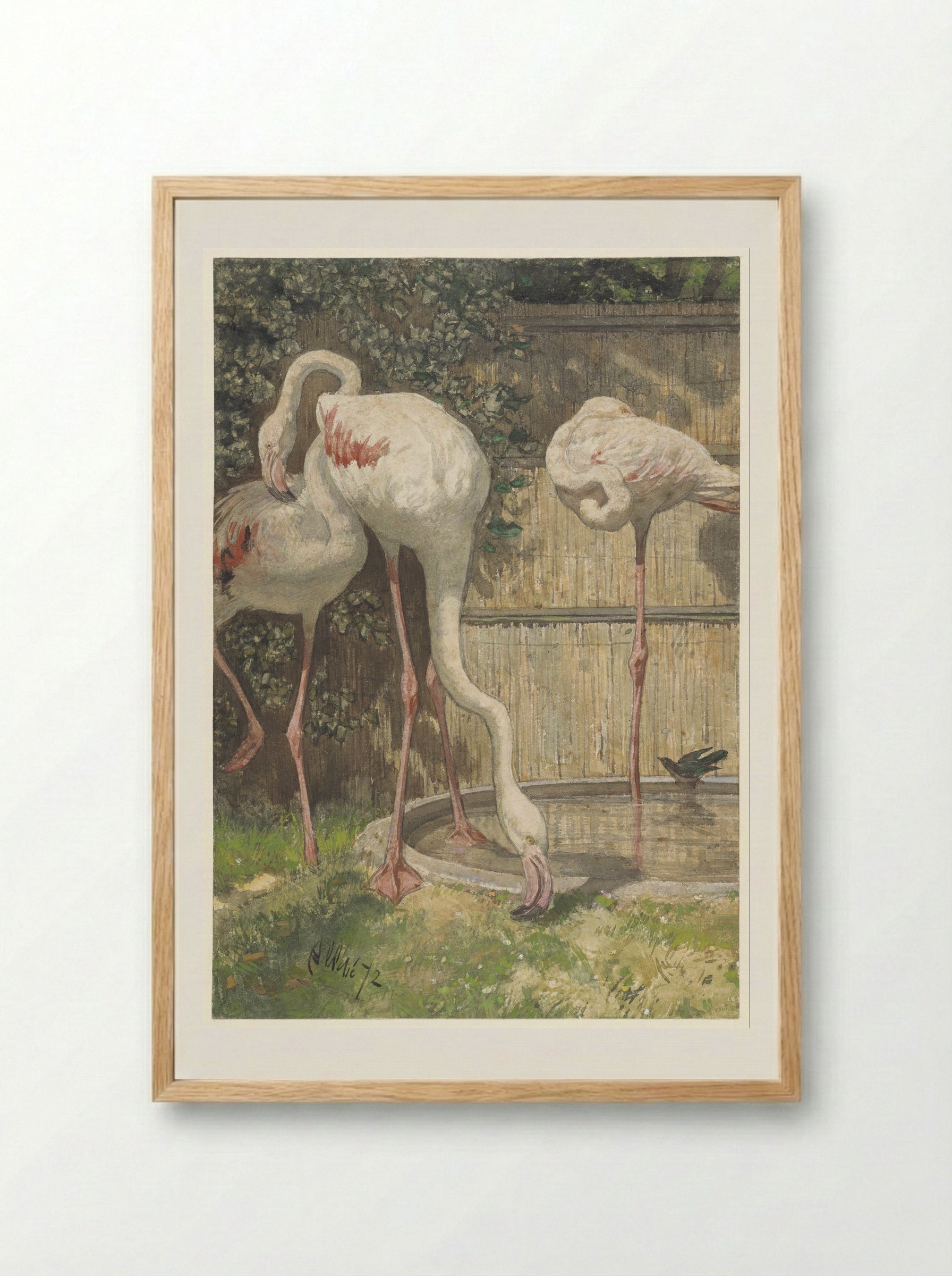 Drie flamingo's bij een bassin - August Allebé - Framed Print Wood