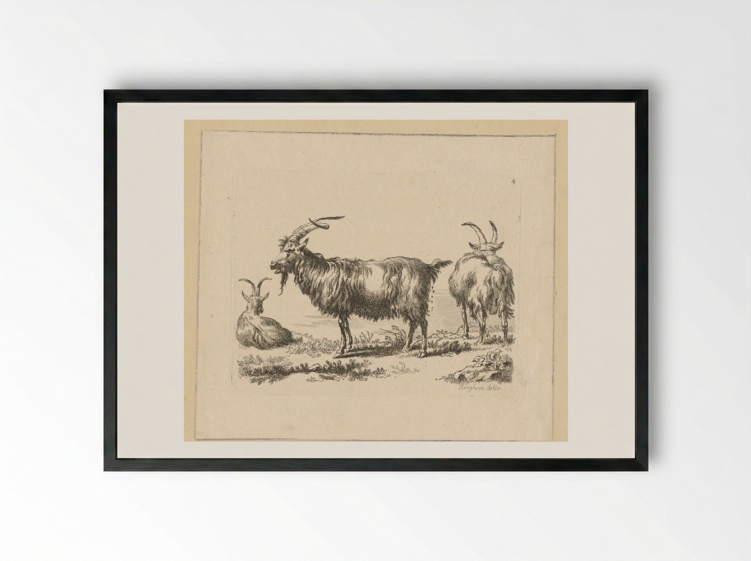 Drie geiten - François Vivares - Framed Print Black