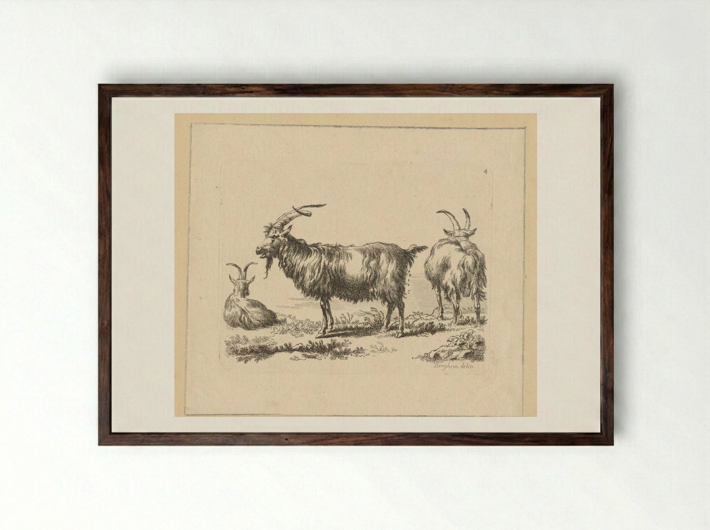 Drie geiten - François Vivares - Framed Print Dark Wood