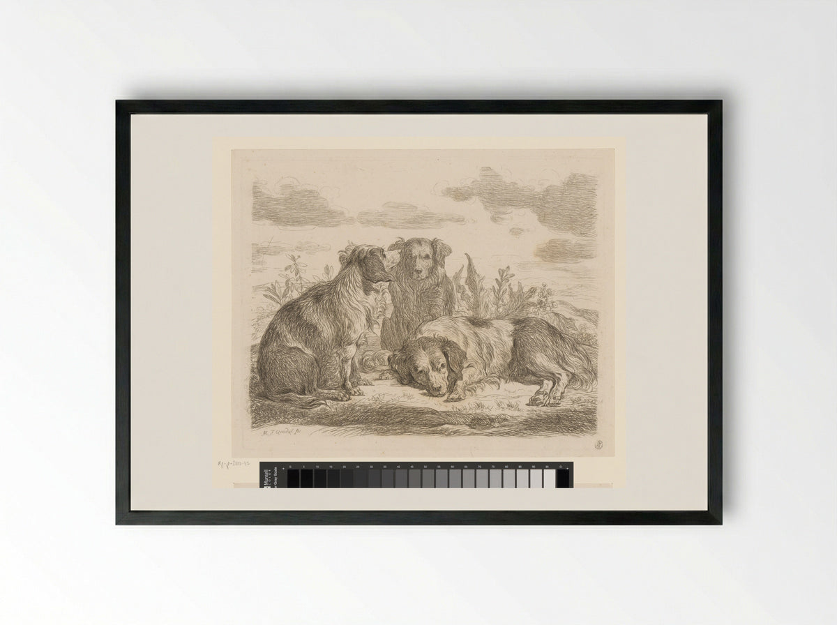 Drie honden (Three Dogs) - Martin Ferdinand Quadal - Framed Print Black