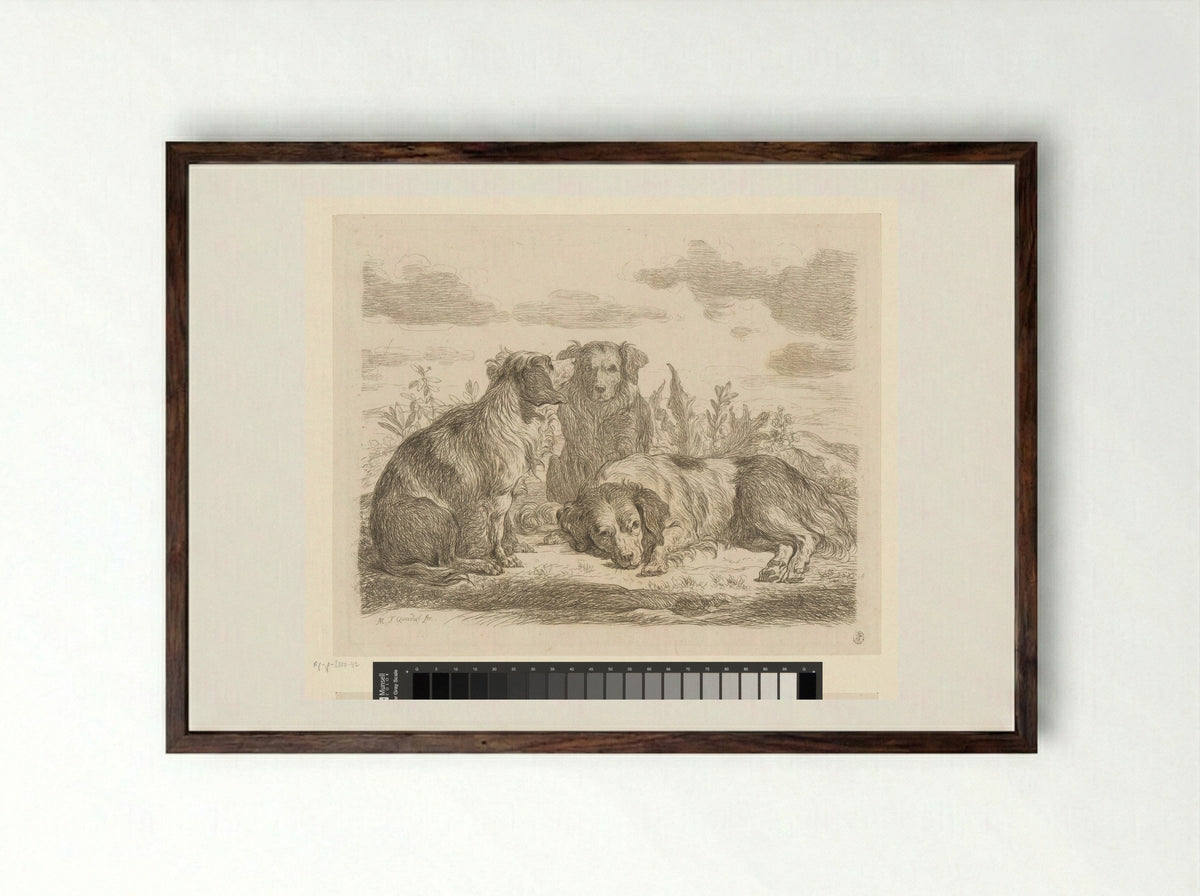 Drie honden (Three Dogs) - Martin Ferdinand Quadal - Framed Print Dark Wood