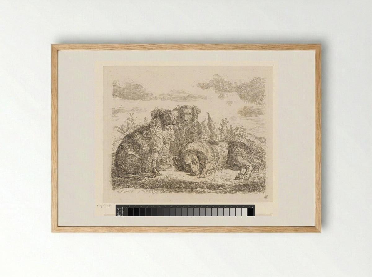 Drie honden (Three Dogs) - Martin Ferdinand Quadal - Framed Print Wood