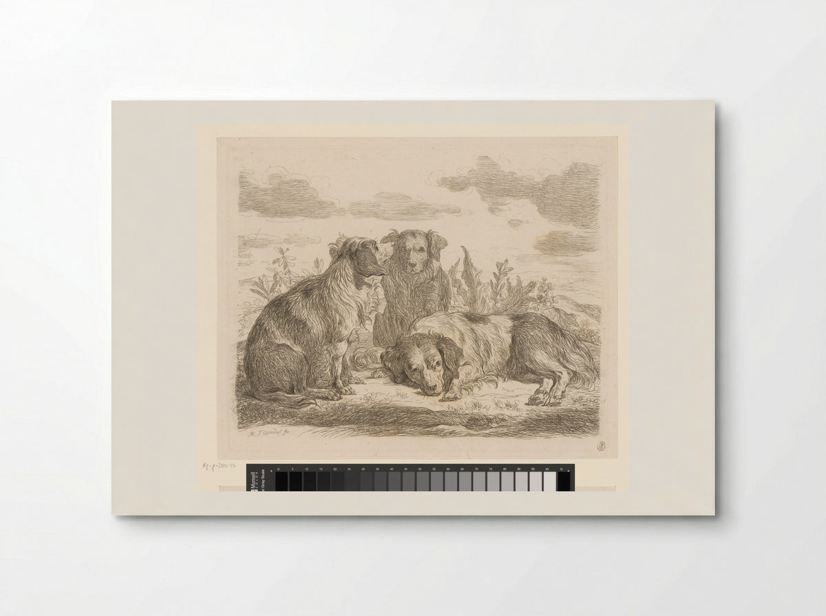 Drie honden (Three Dogs) - Martin Ferdinand Quadal - Poster