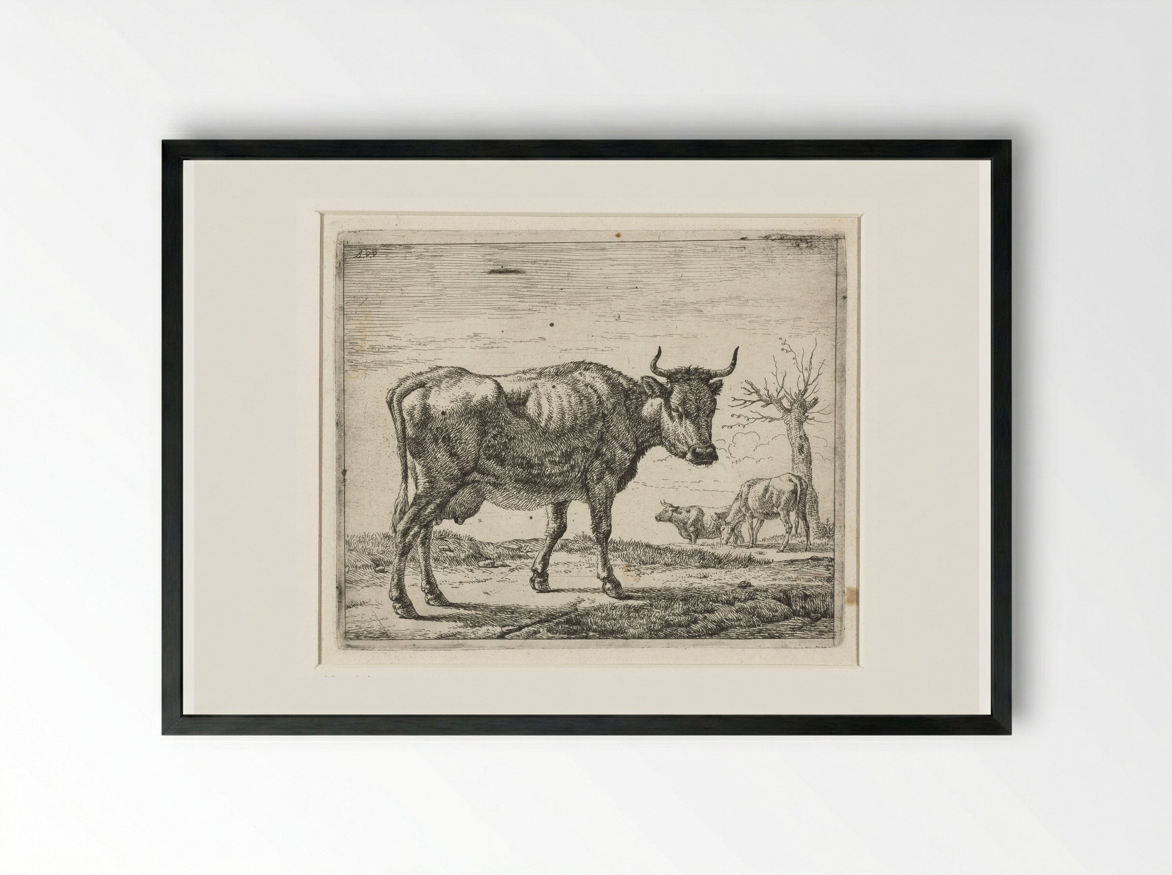 Drie koeien - Adriaen van de Velde - Framed Print Black