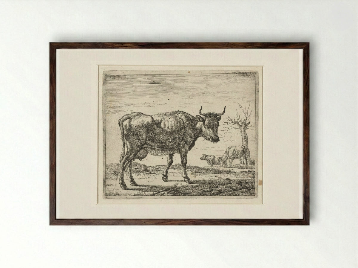 Drie koeien - Adriaen van de Velde - Framed Print Dark Wood