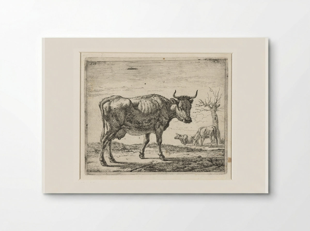 Drie koeien - Adriaen van de Velde - Poster