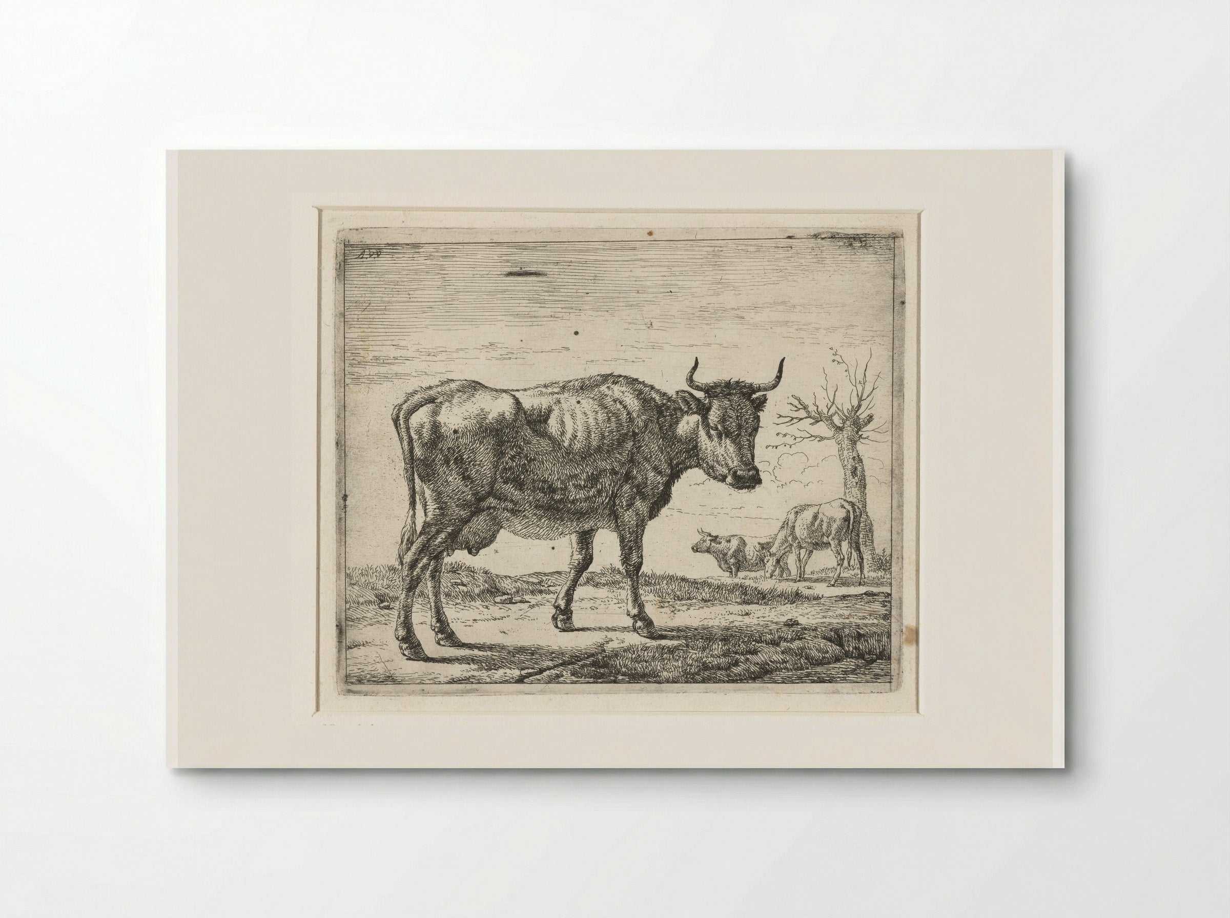 Drie koeien - Adriaen van de Velde - Poster