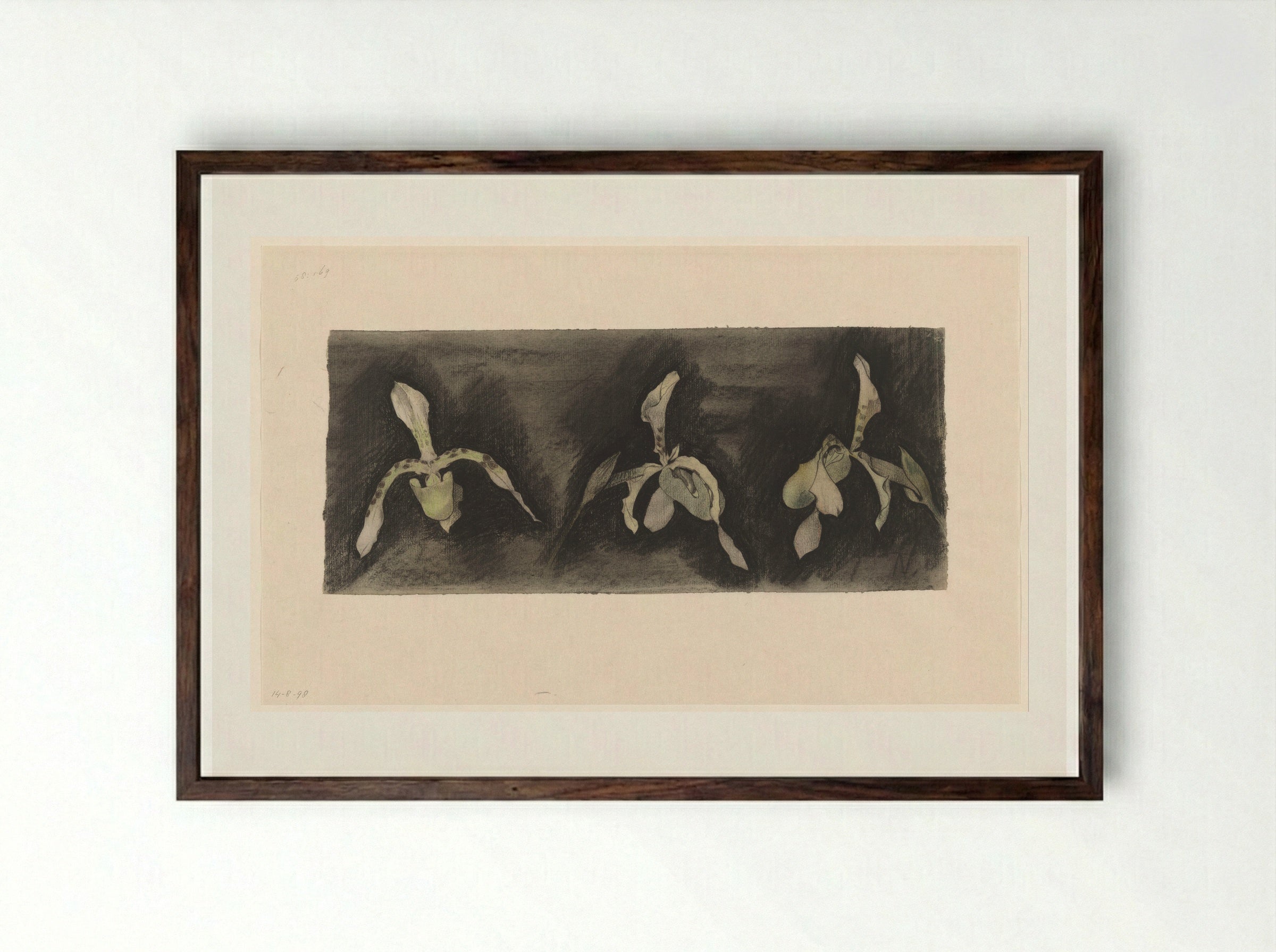Drie orchideeën (Three Orchids) - Theo Nieuwenhuis - Framed Print Dark Wood