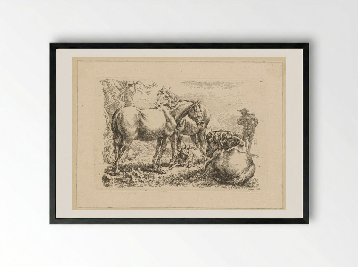 Drie paarden een geit - François Vivares - Framed Print Black