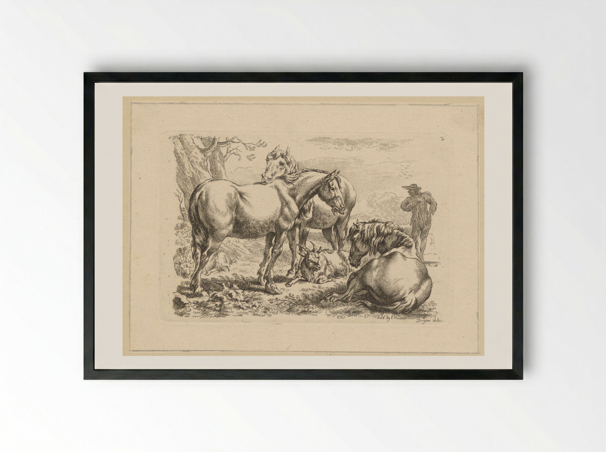 Drie paarden een geit - François Vivares - Framed Print Black