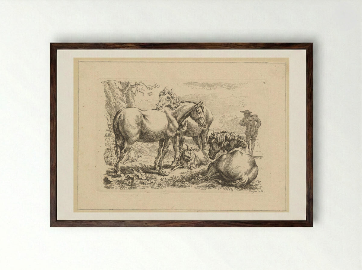 Drie paarden een geit - François Vivares - Framed Print Dark Wood