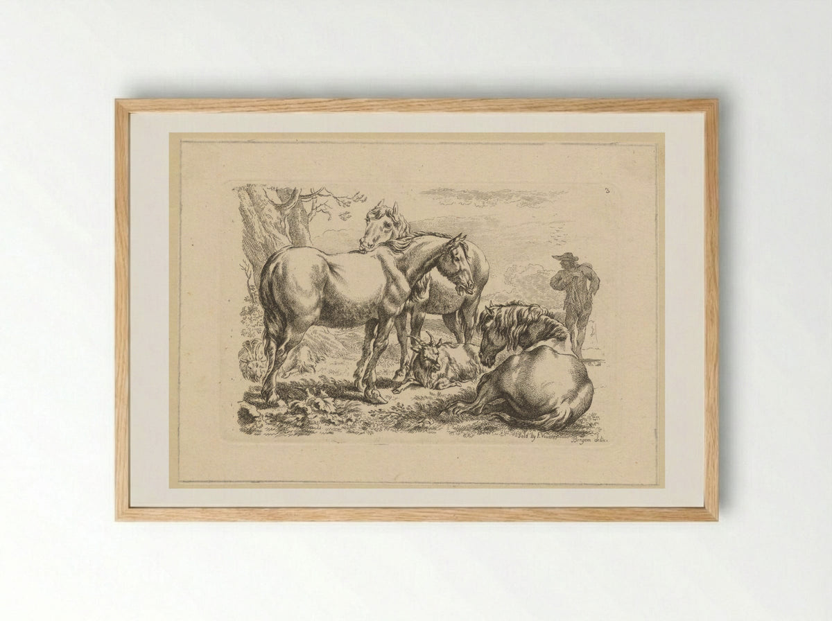 Drie paarden een geit - François Vivares - Framed Print Wood