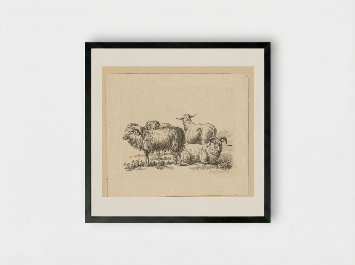 Drie rammen en een schaap - François Vivares - Framed Print Black