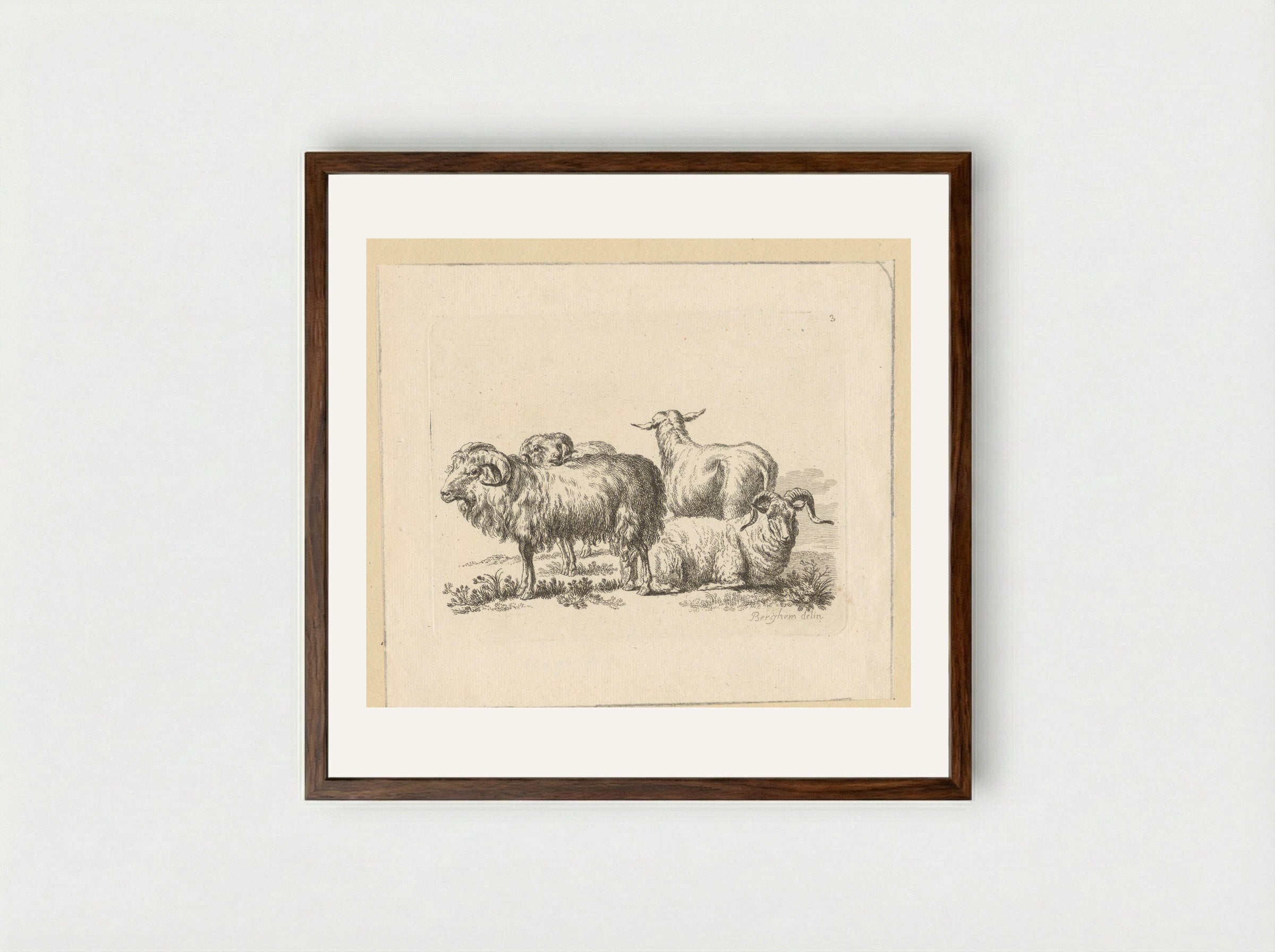 Drie rammen en een schaap - François Vivares - Framed Print Dark Wood